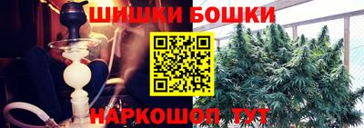прущие крисы Будённовск