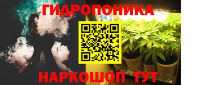 прущие крисы Будённовск
