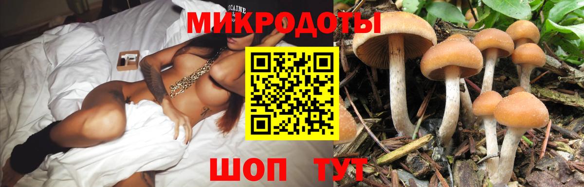 Галлюциногенные грибы ЛСД  Псилоцибиновые грибы Psilocybine cubensis  Бердск  Вход с VPN 